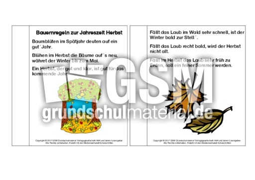 Mini-Buch-Bauernregeln-Herbst-Lesetext.pdf